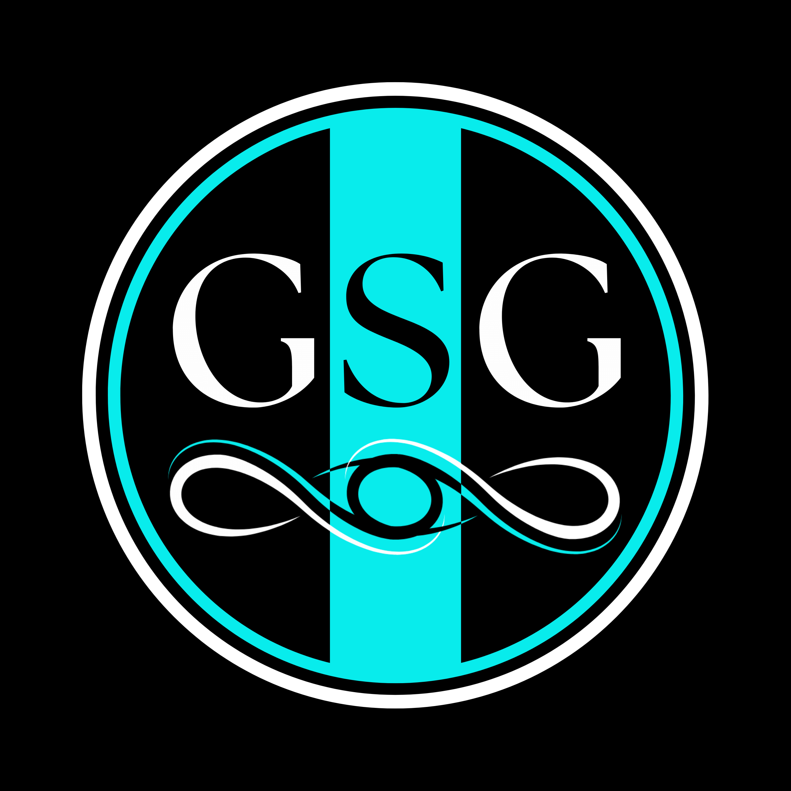 Dark Background LOGO ONLY